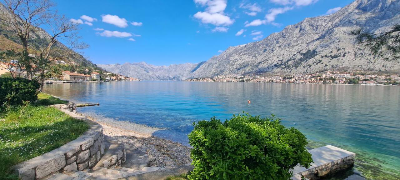 Apartment Vujosevic D&D Kotor Pokój zdjęcie